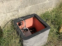 Partij diverse planten in pot - afbeelding 6 van  7