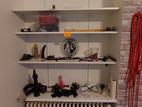 Partij diverse seksspeeltjes