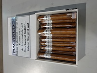 Partij diverse sigaren - afbeelding 4 van  18