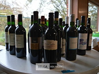 Partij diverse soorten wijn - afbeelding 1 van  5