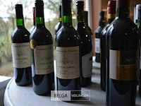 Partij diverse soorten wijn - afbeelding 3 van  5