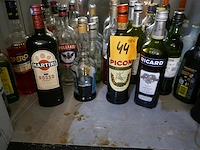 Partij diverse sterke dranken en aperitief