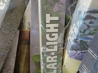 Partij diverse tl lampen - afbeelding 7 van  9