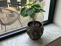 Partij diverse vaasjes, imitatieplanten in pot, theelichthouders en kapstok - afbeelding 4 van  4