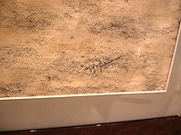 Partij diverse werken - afbeelding 8 van  10