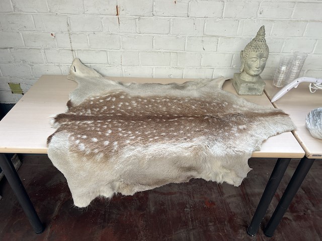 Partij diverse w.o. dierenvel en beeld - afbeelding 2 van  7