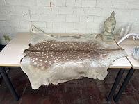 Partij diverse w.o. dierenvel en beeld - afbeelding 2 van  7