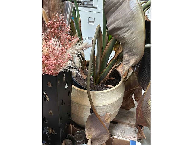 Partij diversen schoonheidssalon - afbeelding 7 van  12