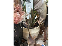 Partij diversen schoonheidssalon - afbeelding 7 van  12