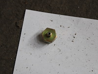 Partij diversen - afbeelding 10 van  10