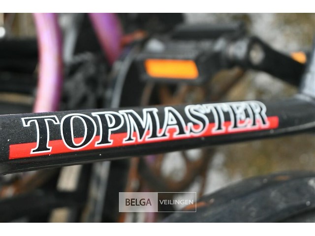 Partij fietsen - afbeelding 7 van  7