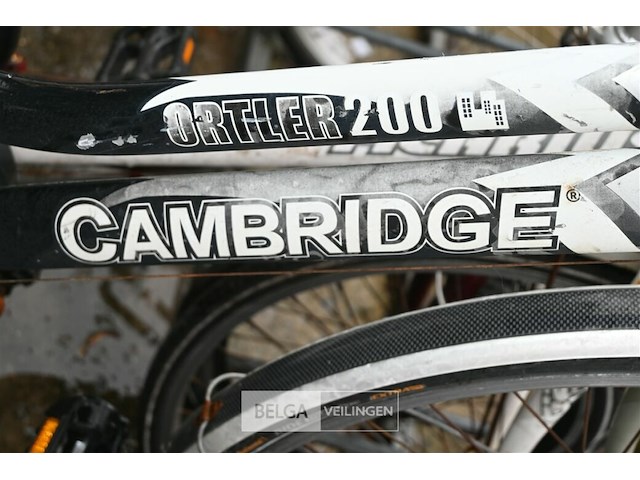 Partij fietsen - afbeelding 7 van  8