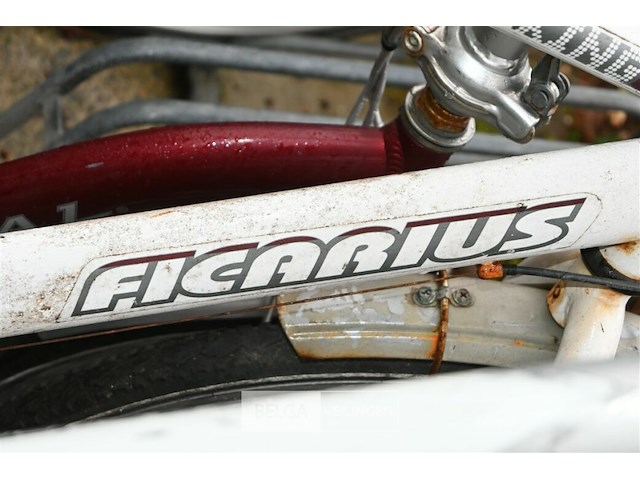 Partij fietsen - afbeelding 8 van  8