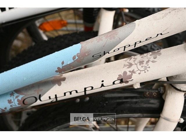 Partij fietsen - afbeelding 5 van  6