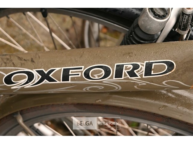 Partij fietsen - afbeelding 8 van  9