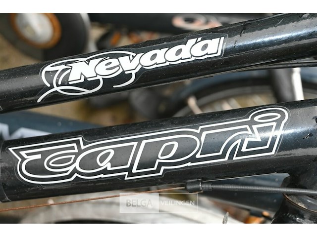 Partij fietsen - afbeelding 6 van  9