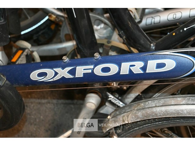 Partij fietsen - afbeelding 3 van  6