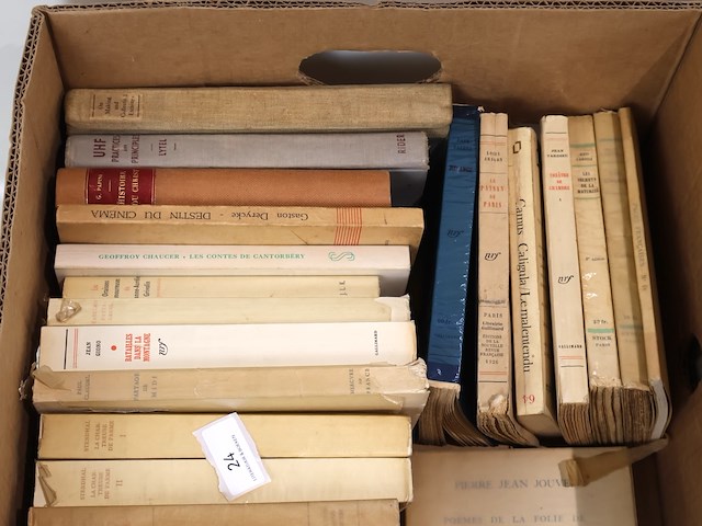 Partij franse literatuur - afbeelding 6 van  11