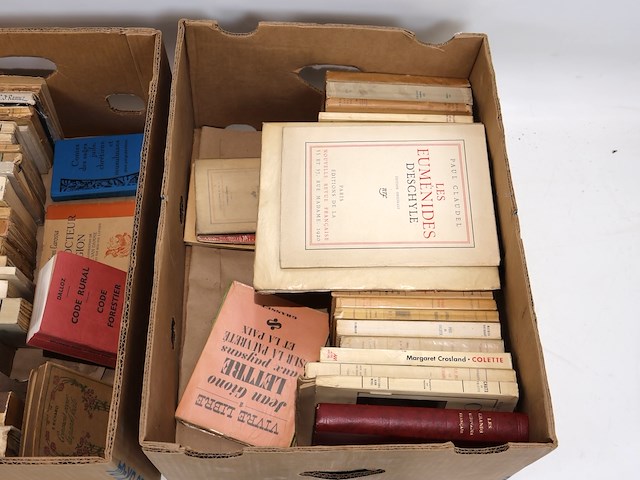 Partij franse literatuur - afbeelding 10 van  11