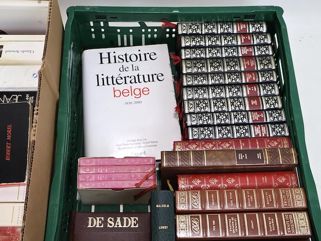 Partij franse literatuur - afbeelding 2 van  13
