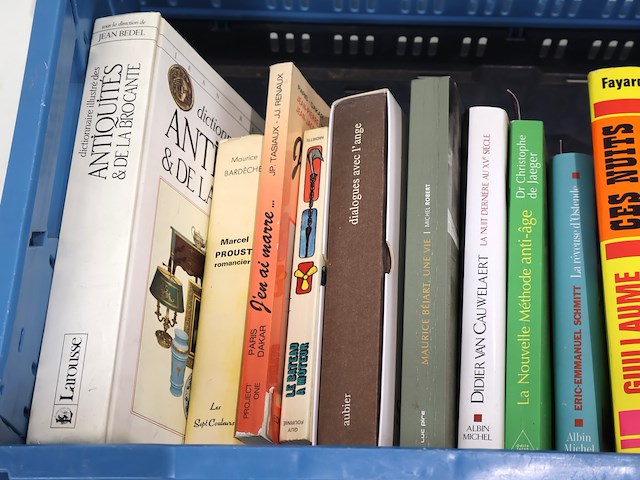 Partij franse literatuur - afbeelding 4 van  13