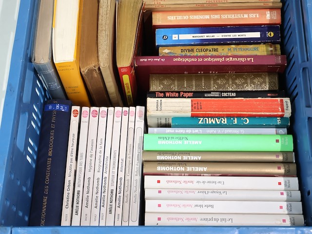 Partij franse literatuur - afbeelding 7 van  13