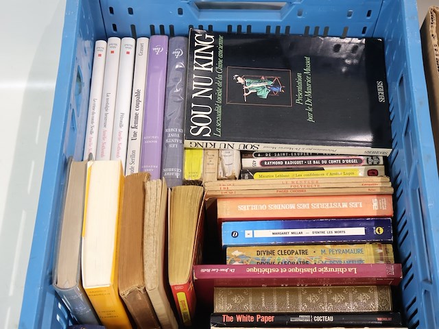 Partij franse literatuur - afbeelding 8 van  13