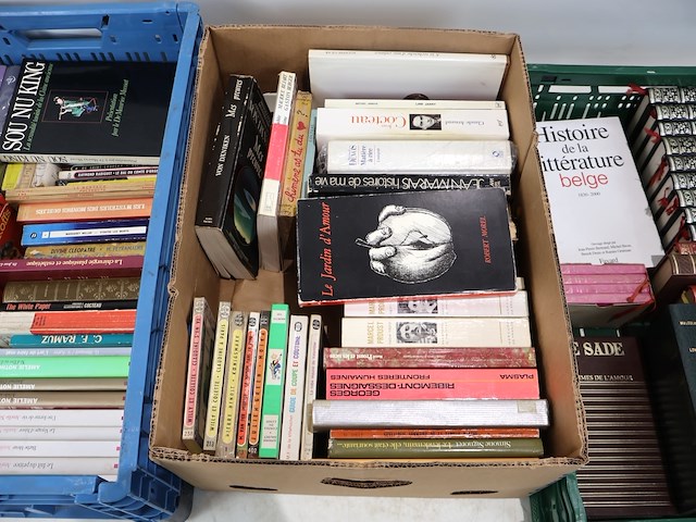 Partij franse literatuur - afbeelding 9 van  13