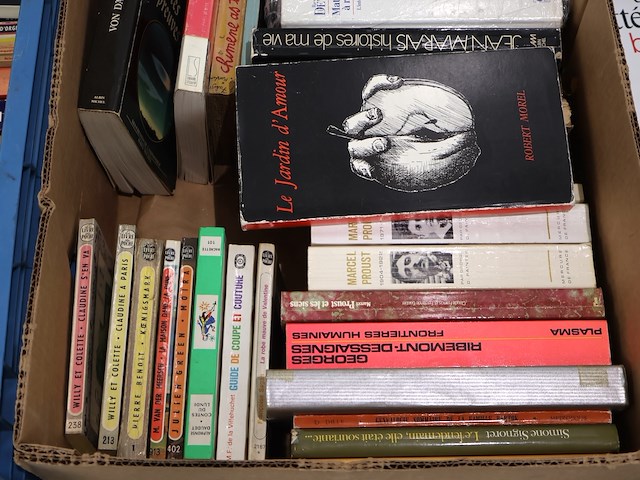 Partij franse literatuur - afbeelding 10 van  13