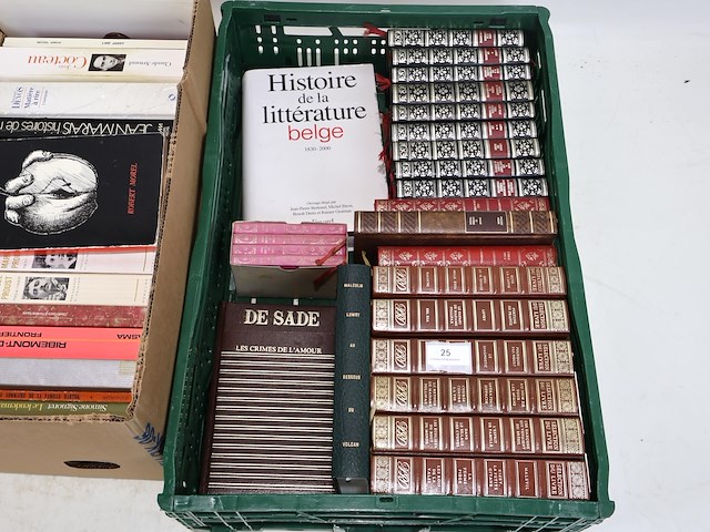 Partij franse literatuur - afbeelding 12 van  13