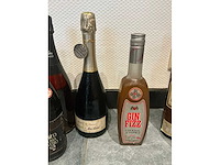Partij geestrijke dranken (12x) - afbeelding 3 van  13