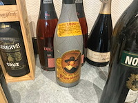 Partij geestrijke dranken (12x) - afbeelding 10 van  13