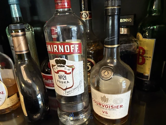 Partij geestrijke dranken - afbeelding 11 van  11