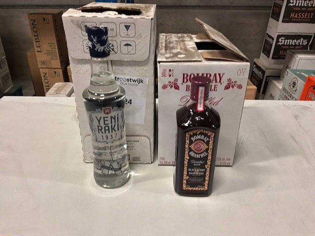 Partij gin en raki - afbeelding 1 van  1