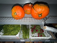 Partij groenten en fruit - afbeelding 4 van  34