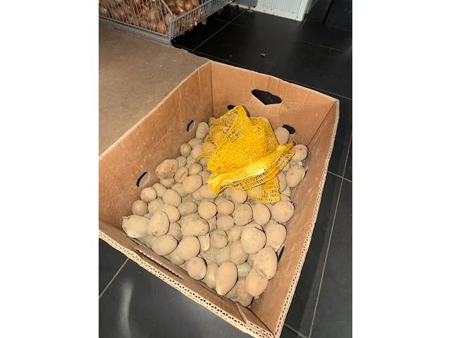 Partij groenten en fruit - afbeelding 27 van  34