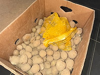 Partij groenten en fruit - afbeelding 27 van  34
