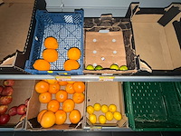 Partij groenten en fruit - afbeelding 31 van  34