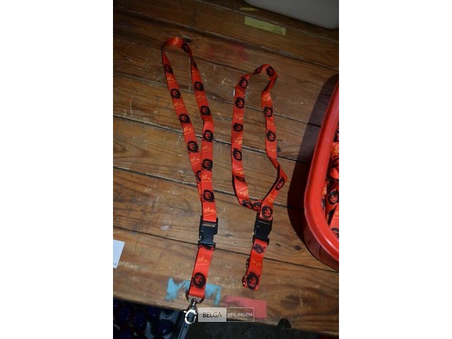 Partij halsketting voor sleutels - afbeelding 1 van  2