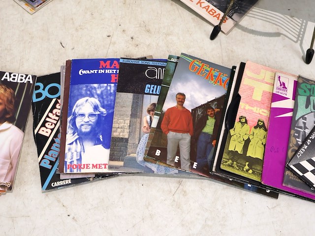 Partij hitsingles - afbeelding 3 van  8