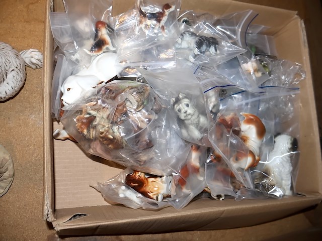 Partij honden beelden - afbeelding 3 van  6