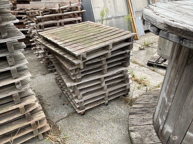 Partij hout - afbeelding 3 van  9