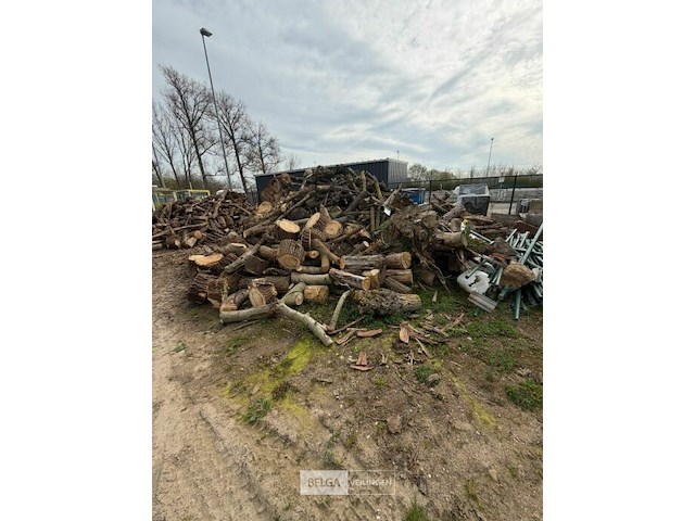 Partij hout - afbeelding 1 van  2