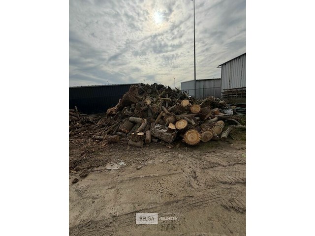 Partij hout - afbeelding 2 van  2