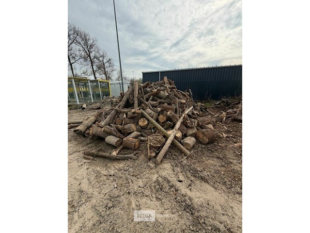 Partij hout - afbeelding 1 van  3