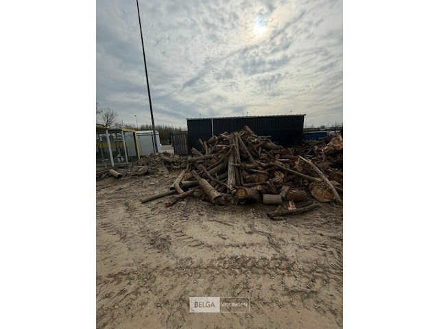 Partij hout - afbeelding 2 van  3