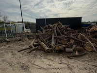 Partij hout - afbeelding 2 van  3