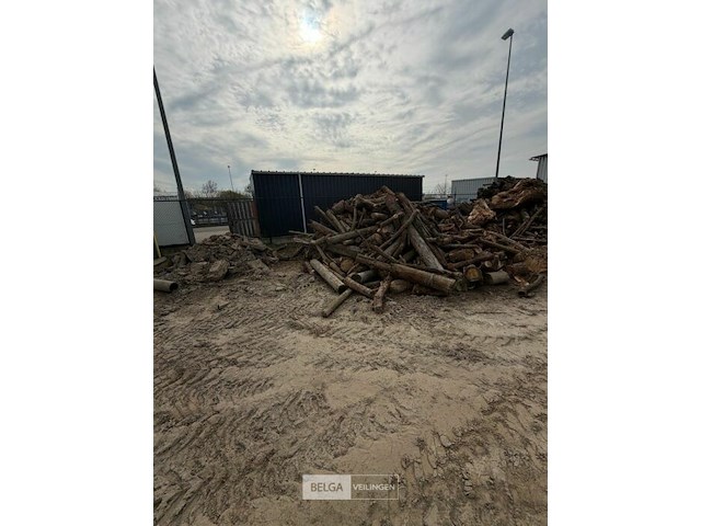 Partij hout - afbeelding 3 van  3