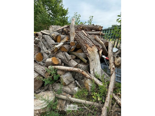 Partij hout - afbeelding 3 van  5