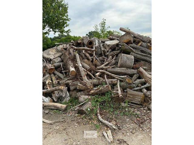 Partij hout - afbeelding 4 van  5